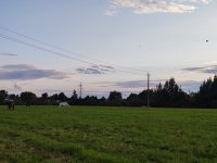IMG_20260725_204102.jpg