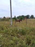 IMG_20260729_105120_698.jpg