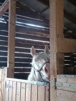 IMG_20260728_130824.jpg