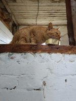 IMG20260717092042.jpg