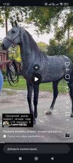 Screenshot_2026-07-29-17-27-19-631_com.instagram.android.jpg
