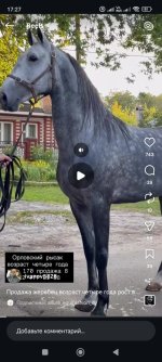 Screenshot_2026-07-29-17-27-12-621_com.instagram.android.jpg