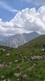 IMG_20260622_104137.jpg