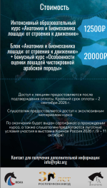 Снимок экрана 2026-07-30 в 12.37.24.png