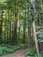 IMG_20260721_182033.jpg