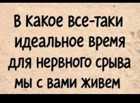 1000225383.jpg