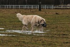 IMG_9473.jpg