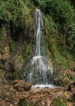 IMG_4749.jpg