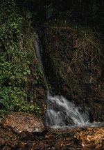 IMG_4705.jpg