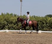 IMG_4505.jpeg