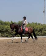 IMG_4494.jpeg
