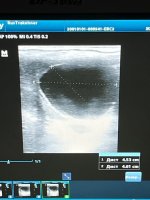 IMG_5808.jpeg