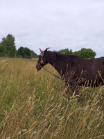 IMG_20260802_120317_787.jpg