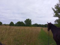 IMG_20260802_120155_812.jpg