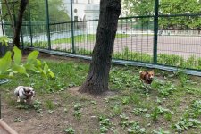 IMG_3121.jpeg