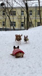 IMG_1813.jpeg