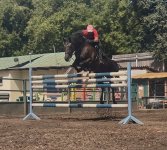 IMG_4657.jpeg