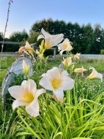 IMG_1568.jpeg