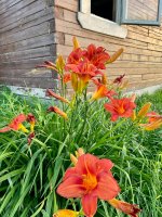 IMG_1571.jpeg