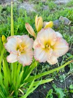 IMG_1569.jpeg