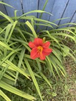 IMG_20260803_034649_383.jpg