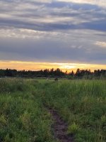 IMG_20260726_203220.jpg