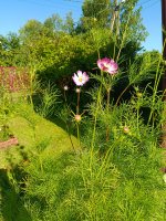 IMG_20260803_084205.jpg