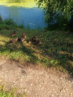 IMG_20260803_082838.jpg