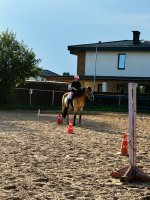 IMG_9654.jpeg