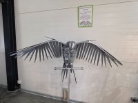 20260731_181528.jpg
