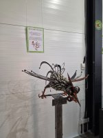 20260731_181544.jpg