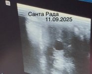 IMG_9891.jpeg