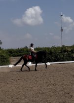 IMG_4666.jpeg
