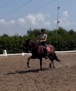IMG_4665.jpeg