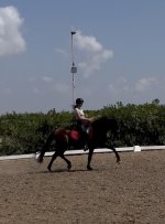 IMG_4668.jpeg