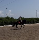 IMG_4669.jpeg