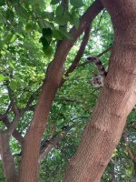 IMG_4664.jpeg