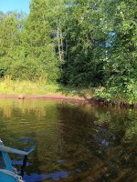 IMG_20260805_072331.jpg