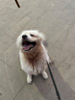 IMG_4683.jpeg