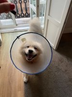 IMG_4675.jpeg