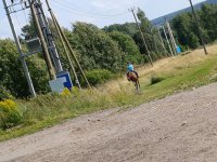 IMG_20260806_154515.jpg