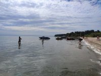 IMG_20260805_141616.jpg