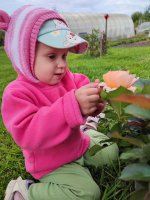 IMG_20260807_185707.jpg