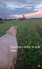 Screenshot_2026-08-08-11-41-13-181_com.vkontakte.android.jpg