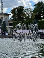 IMG_9836.jpeg