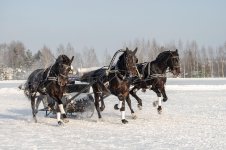 DSCF0072 копия 2.jpg