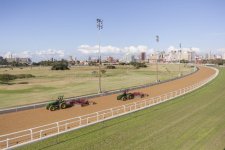 horse-racing-tracks-tractors-grading-surface-race-poly-track-around-royal-durban-golf-course-l...jpg
