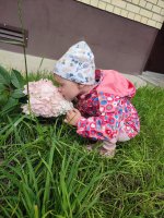 IMG_20260812_130127.jpg