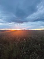 IMG_20260813_202949.jpg