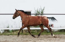 IMG_1614.jpeg